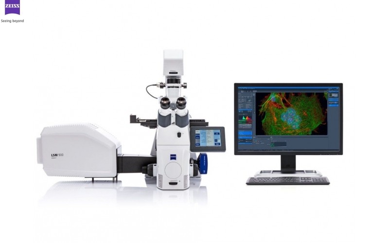 蔡司激光共聚焦顯微鏡在活細胞領域的研究應用