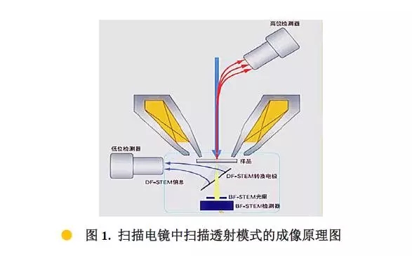 掃描電鏡中的透射模式STEM成像原理