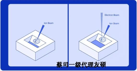 掃描電子顯微鏡